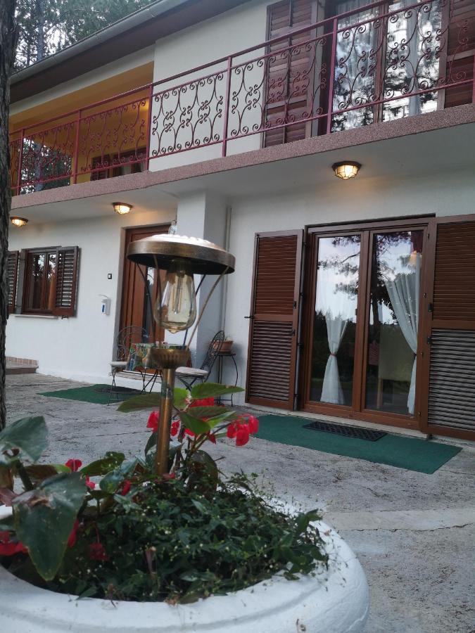 Villa Pineta à Gračišče Extérieur photo