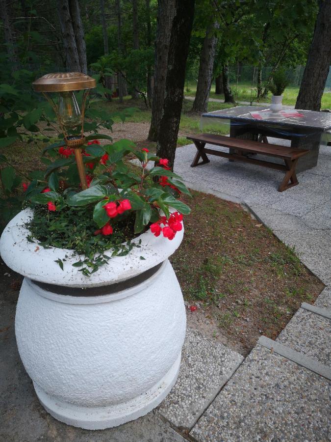 Villa Pineta à Gračišče Extérieur photo