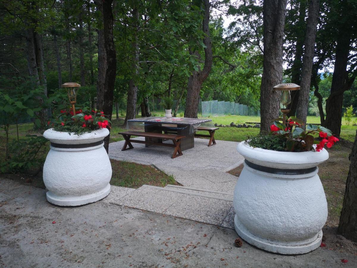 Villa Pineta à Gračišče Extérieur photo
