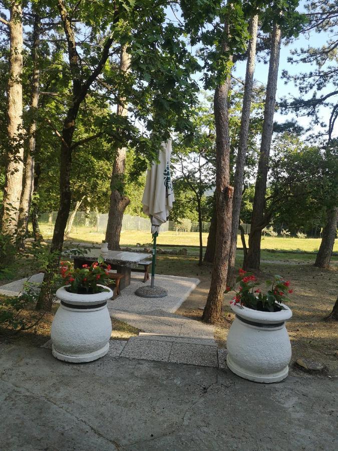 Villa Pineta à Gračišče Extérieur photo